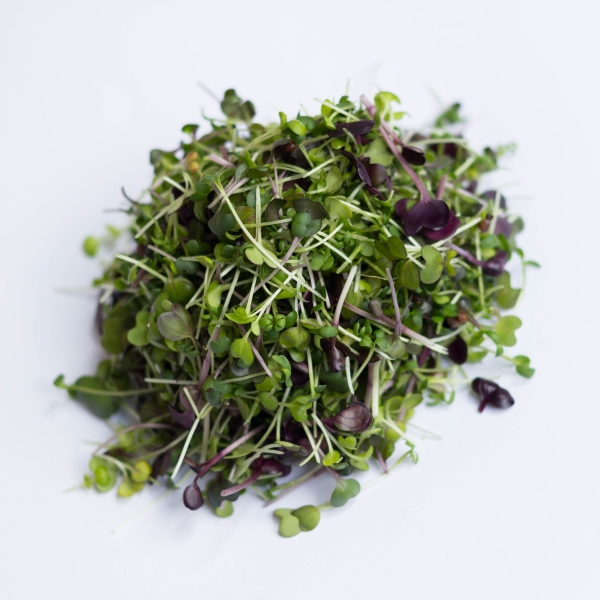 Microgreens